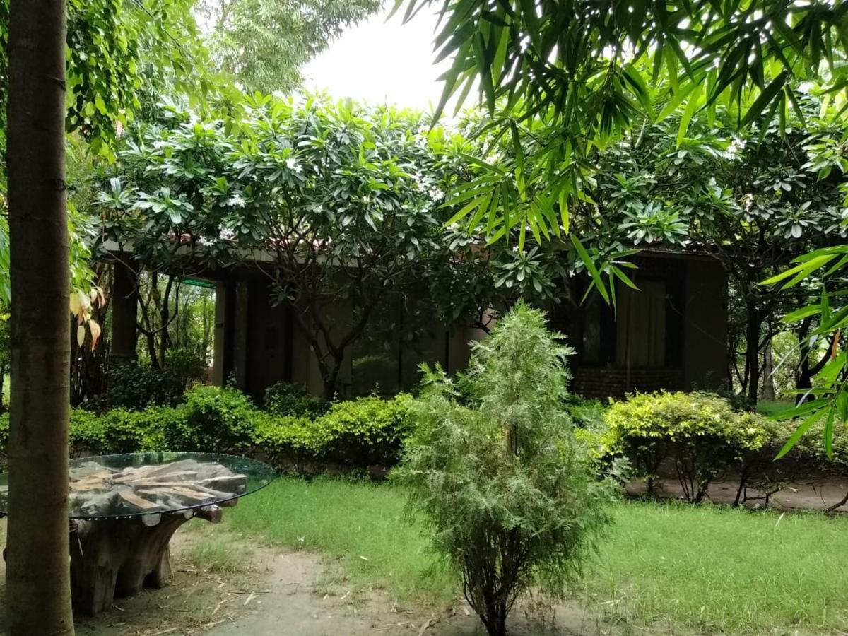 Kashipur Corbett Tusker Trail酒店 外观 照片