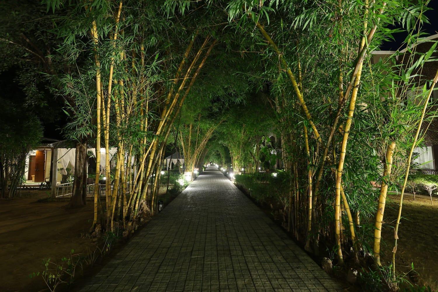 Kashipur Corbett Tusker Trail酒店 外观 照片